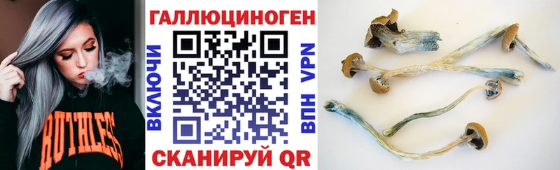 Псилоцибиновые грибы мицелий  Купить закладки  Верхний Уфалей 